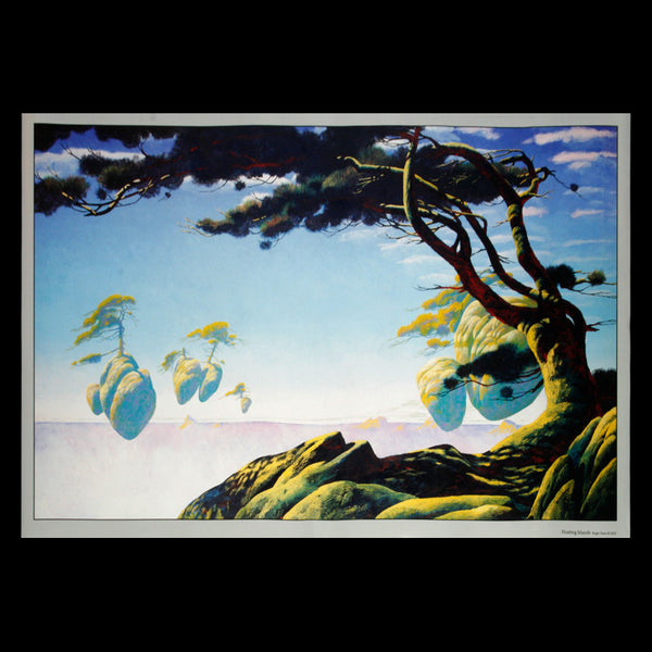 Floating Island Poster (59x86cm)